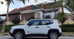 Jeep Renegade Sport Plus Aut – 2019